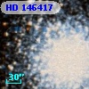 HD 146417