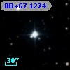 BD+67  1274