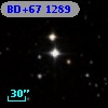 BD+67  1289