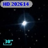 HD 202614
