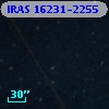 IRAS 16231-2255