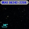 IRAS 16242-2258