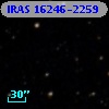 IRAS 16246-2259