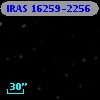 IRAS 16259-2256