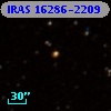IRAS 16286-2209