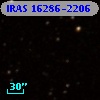 IRAS 16286-2206