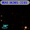 IRAS 16365-2215