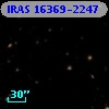 IRAS 16369-2247