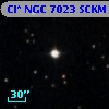 Cl* NGC 7023   SCKM      61
