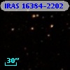 IRAS 16384-2202