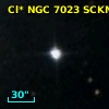 Cl* NGC 7023   SCKM      64
