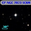 Cl* NGC 7023   SCKM      65