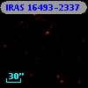 IRAS 16493-2337