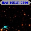 IRAS 16515-2340