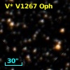 V* V1267 Oph