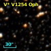 V* V1254 Oph
