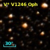 V* V1246 Oph