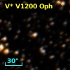 V* V1200 Oph