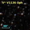 V* V1136 Oph