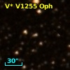 V* V1255 Oph