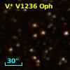 V* V1236 Oph