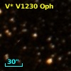 V* V1230 Oph