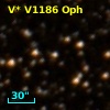 V* V1186 Oph