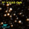 V* V1165 Oph
