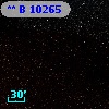 **   B 10265