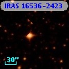 IRAS 16536-2423