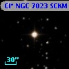 Cl* NGC 7023   SCKM      42