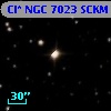 Cl* NGC 7023   SCKM      45