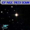 Cl* NGC 7023   SCKM      48