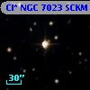 Cl* NGC 7023   SCKM      54