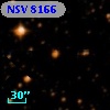 NSV  8166