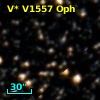 V* V1557 Oph