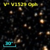 V* V1529 Oph