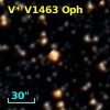 V* V1463 Oph