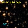 V* V1436 Oph