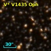 V* V1435 Oph