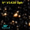 V* V1428 Oph