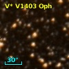 V* V1403 Oph