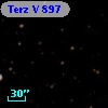 Terz V  897