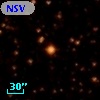 NSV  8146