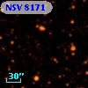 NSV  8171