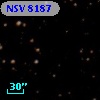 NSV  8187