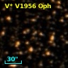 V* V1956 Oph
