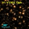 V* V1901 Oph