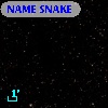 NAME SNAKE