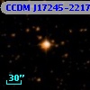 CCDM J17245-2217B